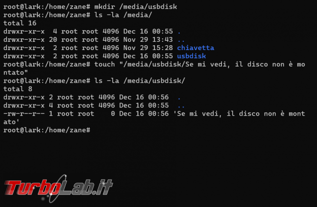 Chiavetta USB disco/SSD esterno Ubuntu linea comando: come accedere, leggere scrivere file (guida rapida mount NTFS, exFAT, ext4)