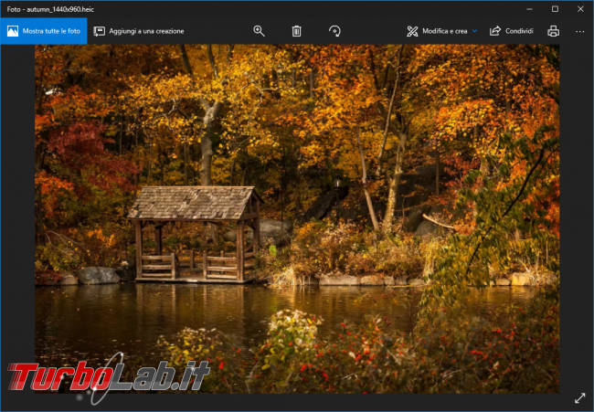 Come aprire file .heic PC Windows vedere foto iPhone/Android computer gratis (senza pagare 0.99 $) - heic file windows 10