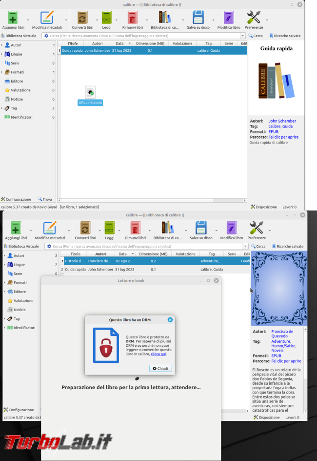 Come aprire file URLLink.acsm direttamente Calibre rimuovere DRM ( soprattutto LINUX!)
