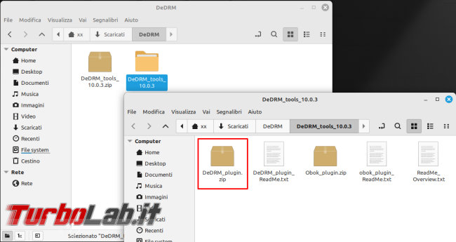 Come aprire file URLLink.acsm direttamente Calibre rimuovere DRM ( soprattutto LINUX!)