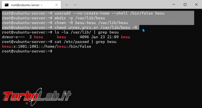 Come attivare nodo Ethereum: guida Besu (installazione configurazione) Linux (Ubuntu)