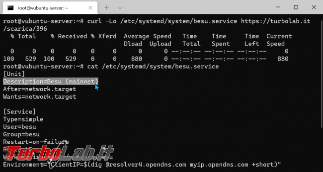 Come attivare nodo Ethereum: guida Besu (installazione configurazione) Linux (Ubuntu)