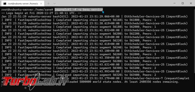 Come attivare nodo Ethereum: guida Besu (installazione configurazione) Linux (Ubuntu)
