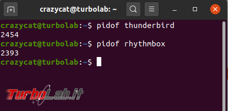 Come chiudere programma bloccato Ubuntu