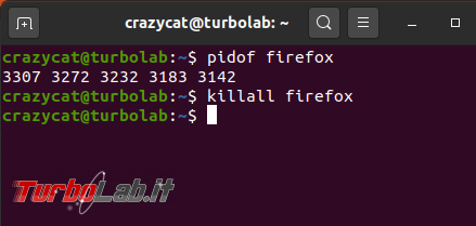 Come chiudere programma bloccato Ubuntu