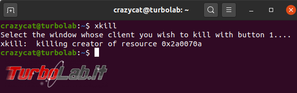 Come chiudere programma bloccato Ubuntu