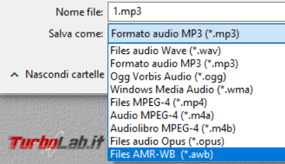 Come convertire documento ebook file audio