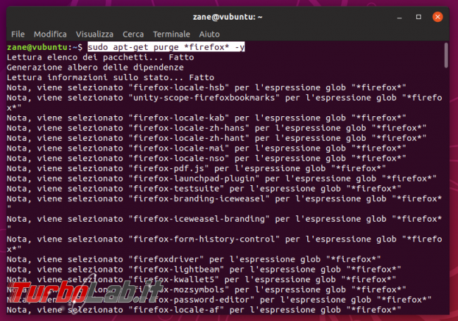 Come disinstallare / rimuovere completamente Firefox Ubuntu (guida)