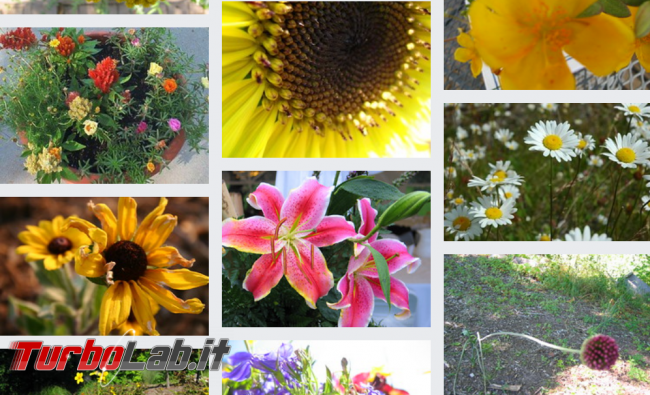 Come / dove trovare immagini gratis blog siti web - Annotazione 2019-05-04 095436