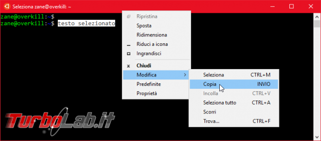 Come fare copia-incolla Linux Ubuntu (Bash) Windows 10 - Ctrl+C / Ctrl+V non funziona! - Mobile_zShot_1536398349