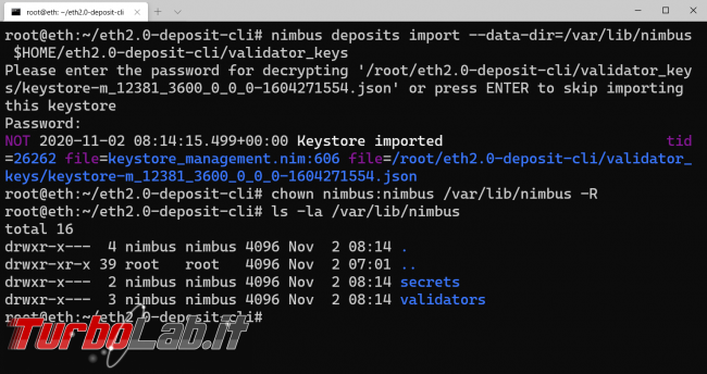 Come fare staking Ethereum 2.0: Guida Definitiva configurare validatore guadagnare (mainnet testnet Görli, video)