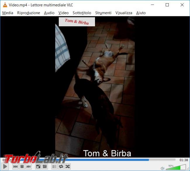 Come inserire watermark video