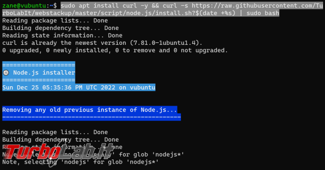 Come installare Node.js npm Ubuntu (nuove versioni) - Guida Definitiva