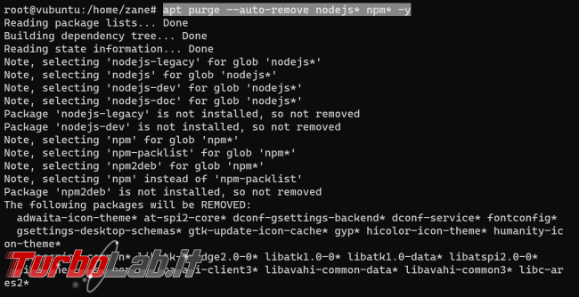 Come installare Node.js npm Ubuntu (nuove versioni) - Guida Definitiva