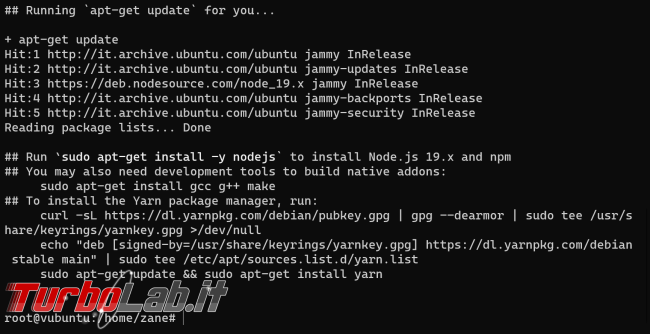 Come installare Node.js npm Ubuntu (nuove versioni) - Guida Definitiva