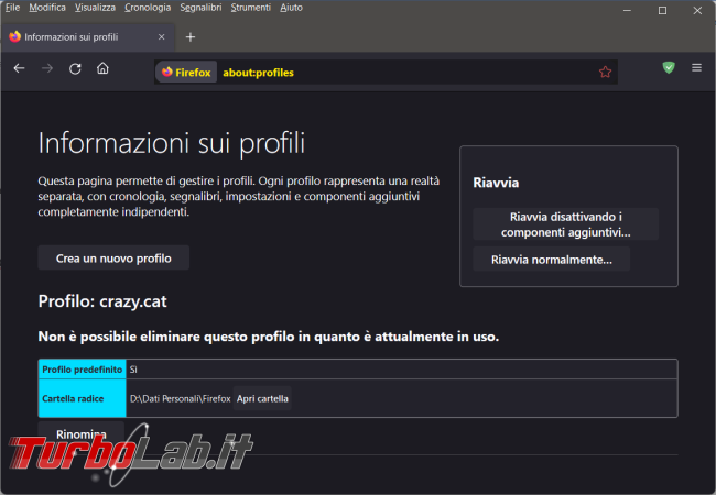 Come recuperare dati file più importanti vecchio profilo Firefox trasferirli nuovo