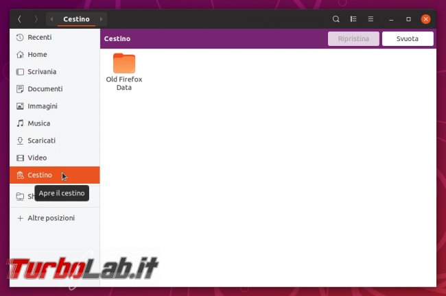 Come rimuovere / eliminare / nascondere Cestino desktop Ubuntu (guida)