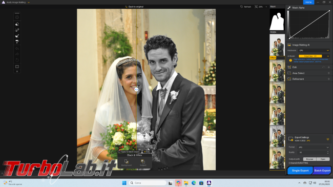 Come rimuovere sfondo foto l': Guida Aiarty Image Matting ( locale, senza cloud)