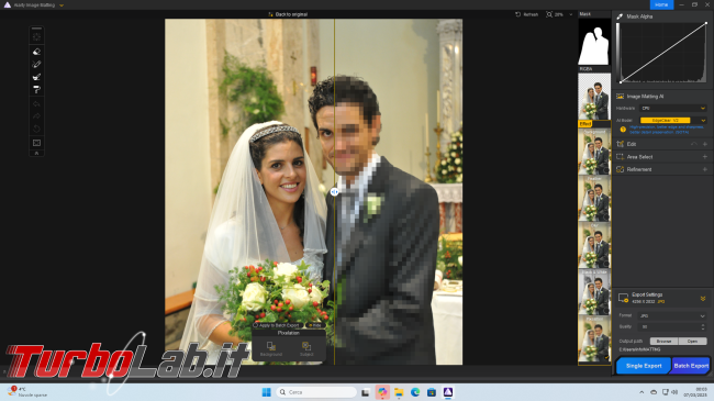 Come rimuovere sfondo foto l': Guida Aiarty Image Matting ( locale, senza cloud)
