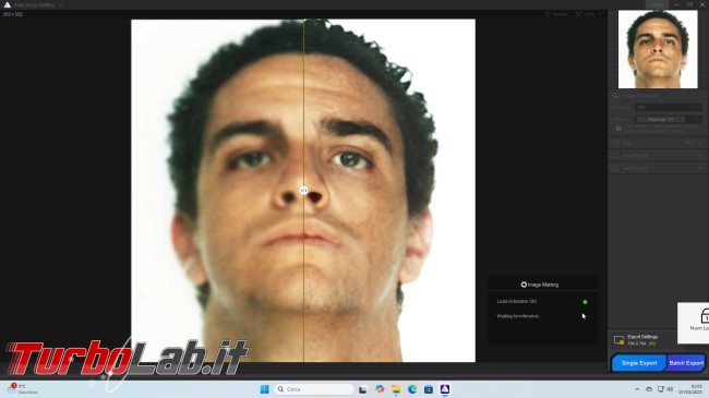 Come rimuovere sfondo foto l': Guida Aiarty Image Matting ( locale, senza cloud)