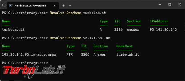 Come risolvere nome indirizzo IP sito Powershell