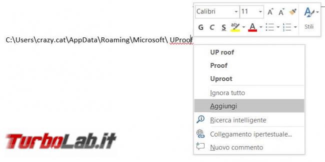Come salvare dizionario personalizzato Microsoft Word