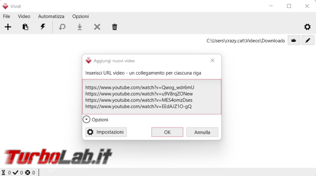 Come scaricare convertire filmati web Vividl