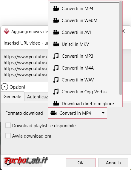 Come scaricare convertire filmati web Vividl