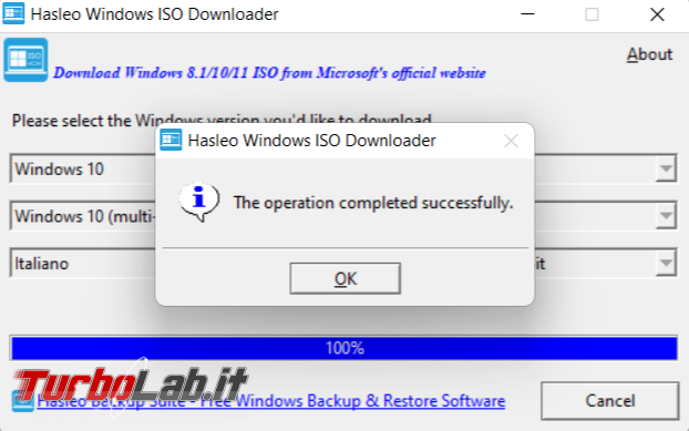 Come scaricare immagini ISO Windows 11,10 8 server Microsoft Hasleo Windows ISO Downloader
