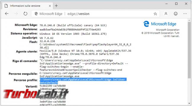 Come scoprire versione Microsoft Edge dove si trova programma profilo utente
