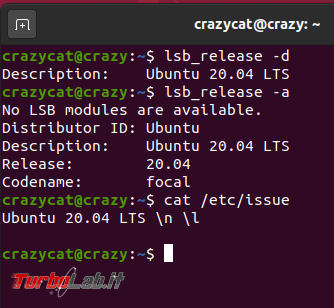 Come scoprire versione Ubuntu installata