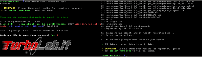 Come si installa programma Linux?