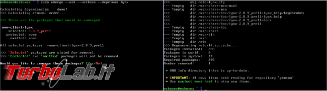 Come si installa programma Linux?