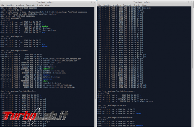 Come si installa programma Linux?