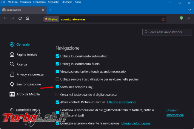 Come sottolineare tutti link presenti pagina Firefox 121