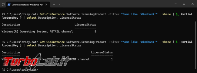 Come verificare l’attivazione Windows 11