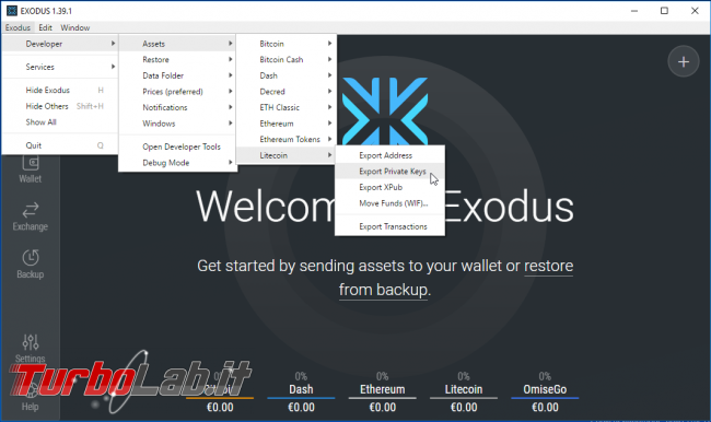 Come visualizzare/esportare chiave privata wallet Exodus
