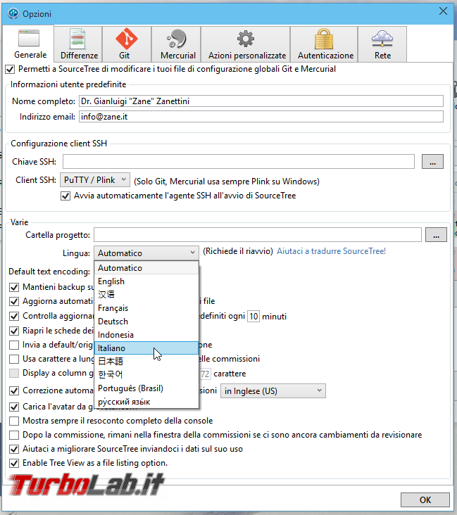 Commit! Pull! Push! - Guida rapida Git professionisti impegnati - git sourcetree opzioni