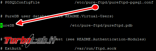 Configurare server FTP Linux CentOS/Ubuntu: Guida rapida Pure-FTPd - pure-ftpd.conf 02