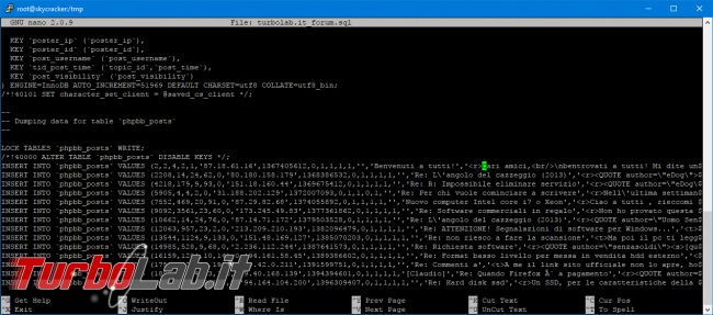 Database MySQL backup: esempi guida rapida completa mysqldump Windows Linux Ubuntu/CentOS