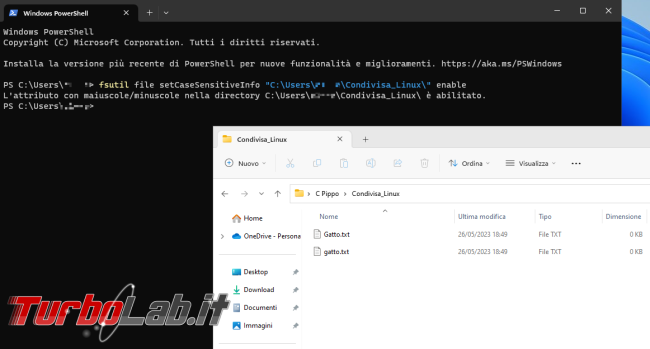 Dualboot Windows-Linux? Facciamoli andare d'accordo!