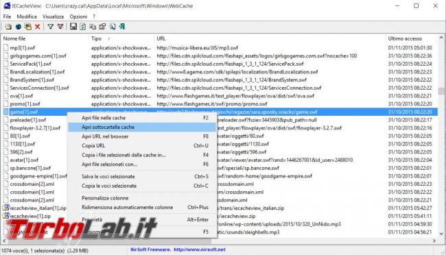 Estrarre contenuti informazioni cache browser