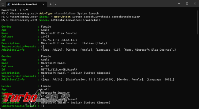 Fai parlare computer Powershell leggere file testo TXT