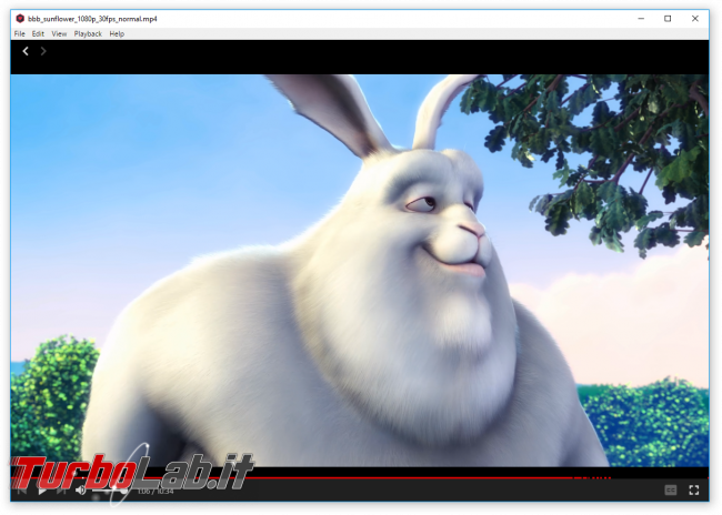 Film streaming, gratis senza attese: guida WebTorrent - bbb_sunflower_1080p_30fps_normal.mp4_1