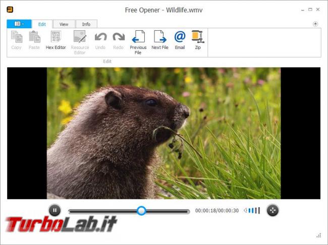 Free Opener, visualizzatore file (quasi) universale