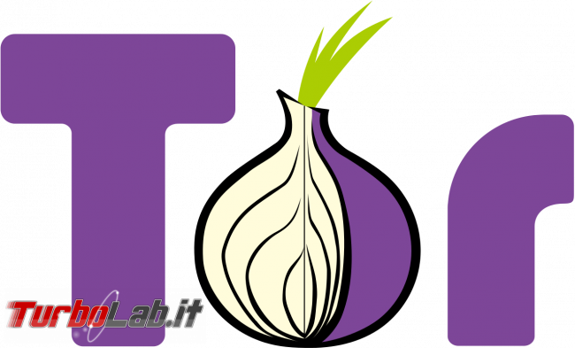 Grande Guida Tor: navigazione anonima gratuita, senza censura VPN
