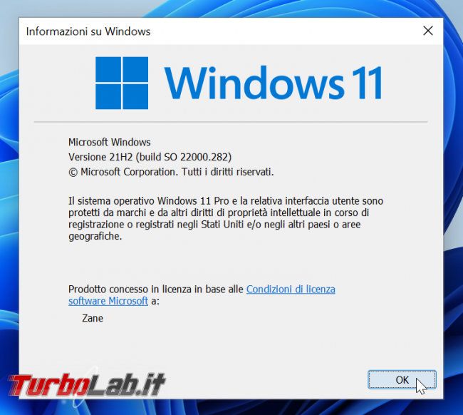 Grande Guida Windows 11
