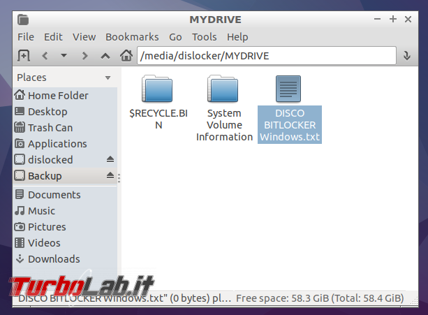 Guida Bitlocker Ubuntu: come leggere/scrivere chiavette USB dislocker
