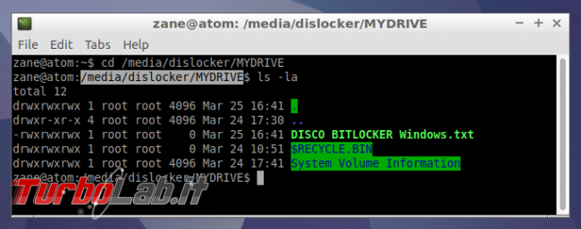 Guida Bitlocker Ubuntu: come leggere/scrivere chiavette USB dislocker