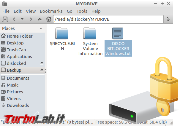 Guida Bitlocker Ubuntu: come leggere/scrivere chiavette USB dislocker - bitlocker ubuntu spotlight